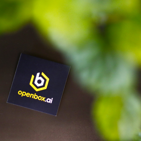 logo Openbox